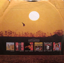 Load image into Gallery viewer, The Mamas &amp; The Papas : Farewell To The First Golden Era (LP, Comp, RE)