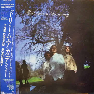 The Dream Academy : The Dream Academy (LP, Album)