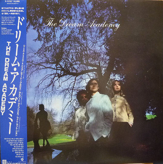 The Dream Academy : The Dream Academy (LP, Album)