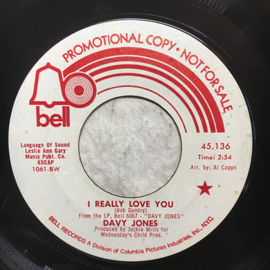 Davy Jones : I Really Love You (7