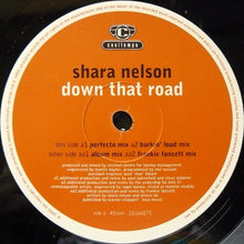 Load image into Gallery viewer, Shara Nelson : Down That Road (12")