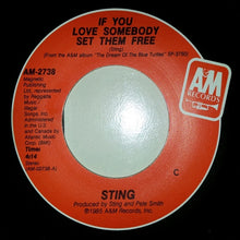 Load image into Gallery viewer, Sting : If You Love Somebody Set Them Free (7&quot;, Single, C)