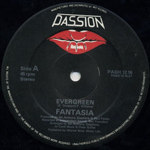 Load image into Gallery viewer, Fantasia (3) : Evergreen (12")