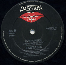 Load image into Gallery viewer, Fantasia (3) : Evergreen (12")