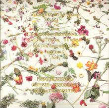 Load image into Gallery viewer, Prince And The Revolution : When Doves Cry (12", Maxi, Spe)