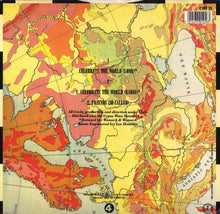 Load image into Gallery viewer, Womack &amp; Womack : Celebrate The World (12")