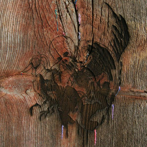 Slasher Flicks* : Enter The Slasher House (2xLP, Album)