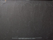 Load image into Gallery viewer, Spinners : Pick Of The Litter (LP, Album, RI )