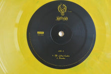 Load image into Gallery viewer, Opeth : Watershed (2xLP, Album, RSD, Ltd, RE, Gre)