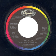 Load image into Gallery viewer, Arcadia (3) : Goodbye Is Forever (7", Single)