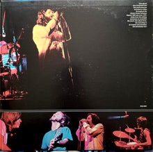 Load image into Gallery viewer, The Doors : Absolutely Live (2xLP, Album, Mon)