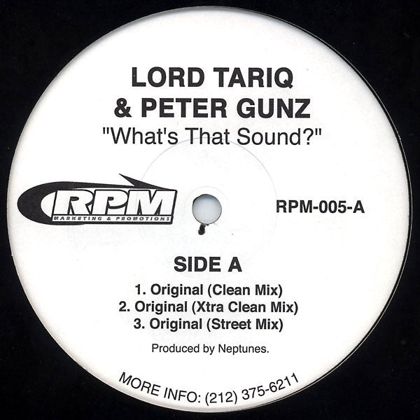 Lord Tariq & Peter Gunz : What's That Sound? (12