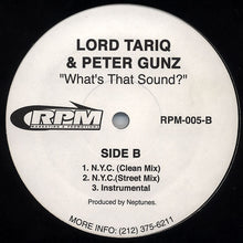 Load image into Gallery viewer, Lord Tariq &amp; Peter Gunz : What&#39;s That Sound? (12&quot;)