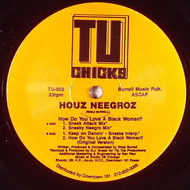 Houz' Neegroz : How Do You Love A Black Woman? (DJ Sneak Remixes) (12