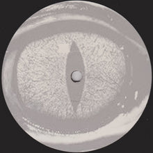 Load image into Gallery viewer, Transllusion : Third Eye E.P. (12&quot;, EP)