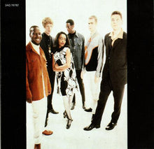 Load image into Gallery viewer, The Brand New Heavies : The Brand New Heavies (CD, Album, RE)