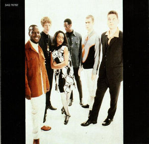 The Brand New Heavies : The Brand New Heavies (CD, Album, RE)