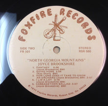Load image into Gallery viewer, Joyce Brookshire : North Georgia Mountains (LP, Album)