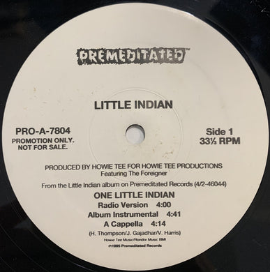 Little Indian : One Little Indian (12