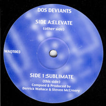 Load image into Gallery viewer, Dos Deviants : Elevate / Sublimate (12&quot;)