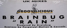 Load image into Gallery viewer, Brainbug : Rain (12&quot;)