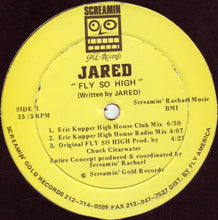 Load image into Gallery viewer, Jared (2) : Fly So High (12")