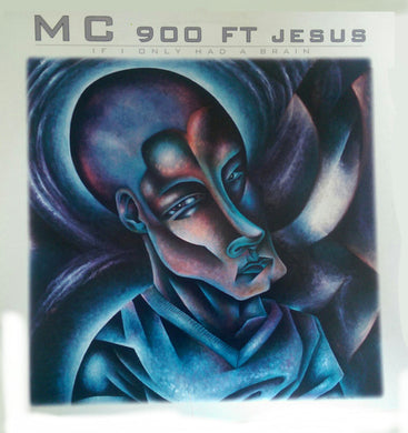 MC 900 Ft Jesus : If I Only Had A Brain / Regression Session (12