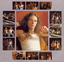 Load image into Gallery viewer, Ted Nugent : State Of Shock (LP, Album)