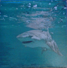 Load image into Gallery viewer, Jimmy Buffett : Living And Dying In 3/4 Time (LP, Album, RE, Gat)