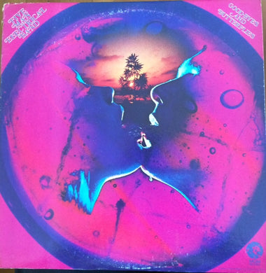 Five Man Electrical Band : Good-byes And Butterflies (LP, Promo)