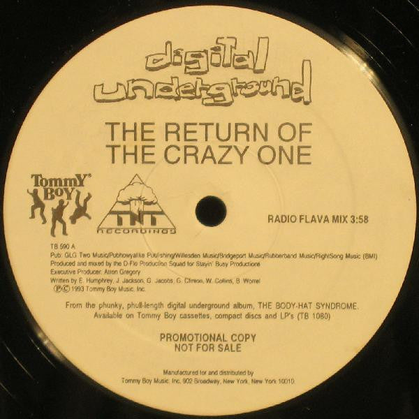 Digital Underground : The Return Of The Crazy One (12