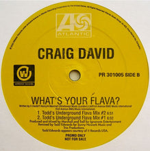Load image into Gallery viewer, Craig David : What&#39;s Your Flava? (12&quot;, Promo)