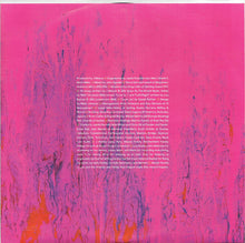 Load image into Gallery viewer, Dinosaur Jr. : Give A Glimpse Of What Yer Not (LP, Album)
