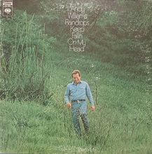 Load image into Gallery viewer, Andy Williams : Raindrops Keep Fallin&#39; On My Head (LP, Album, San)