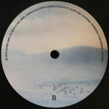 Load image into Gallery viewer, Agnes Obel : Citizen Of Glass (LP, Album, 180)