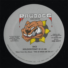 Load image into Gallery viewer, Dice (5) : Holdontomy D! (12")