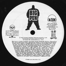 Load image into Gallery viewer, Big Punisher : Punish Me (12&quot;, Promo)