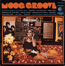 Load image into Gallery viewer, Electronic Concept Orchestra : Moog Groove (LP, Album)