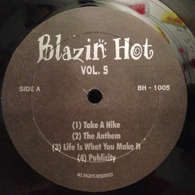 Various : Blazin Hot Vol. 5 (12