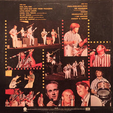 Load image into Gallery viewer, Beach Boys* : Concert (LP, Album, RE, Win)