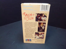 Load image into Gallery viewer, A Raisin in the Sun (1989 VHS) Starletta DuPois, Lou Ferguson, John Fiedler