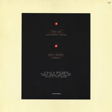 Load image into Gallery viewer, Karen Finley : Tales Of Taboo (12&quot;)