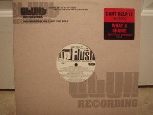 Royal Flush : Can't Help It (Remix) / What A Shame (12", Promo)