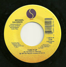 Load image into Gallery viewer, Michael Davidson : Turn It Up (7&quot;, Single)