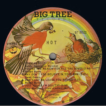 Load image into Gallery viewer, Hot : Hot (LP, Album, PRC)