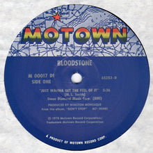 Load image into Gallery viewer, Bloodstone : Just Wanna Get The Feel Of It (12&quot;, Single)