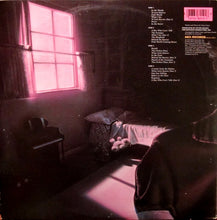 Load image into Gallery viewer, Planet P Project : Pink World (2xLP, Album)