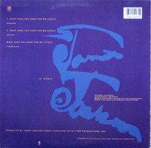 Load image into Gallery viewer, Janet Jackson : What Have You Done For Me Lately (12&quot;, Single, RCA)