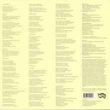 Load image into Gallery viewer, Belle &amp; Sebastian : How To Solve Our Human Problems (Part 2) (12&quot;, EP)