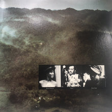 Load image into Gallery viewer, Joe Cocker : Stingray (LP, Album, Pit)